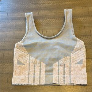 ALO Yoga Gray and Beige Crop Top